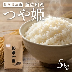 1330R07M03b　遊佐町産 特別栽培米つや姫5kg（令和7年産米）3月中旬