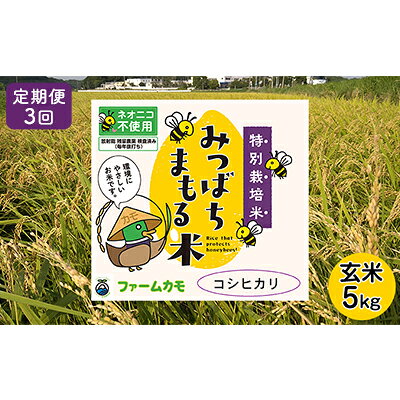 【ふるさと納税】2026年10月上旬以降発送【定期便3回】雄踏ファームカモ産「特選みつばちまもる米」玄米5kg コシヒカリ（3か月連続・合計15kg） お米 コメ ご飯 ライス 特別栽培米 検査米 1等米 静岡 浜松　お届け：2026年10月～2027年6月末