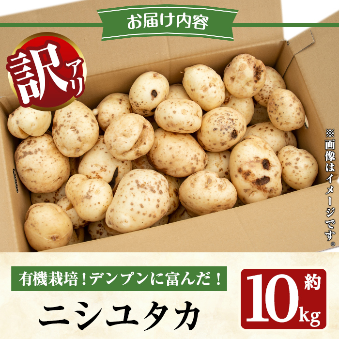 y563 ≪訳あり≫湧水町産有機じゃがいも ニシユタカ 約10kg 国産 九州産 鹿児島産 有機野菜 有機栽培 じゃがいも ジャガイモ にしゆたか 野菜 やさい おかず 旬 わけあり 訳アリ 規格外 