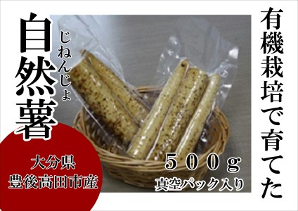 0B1-07 有機栽培で育てたこだわり自然薯（真空パック）