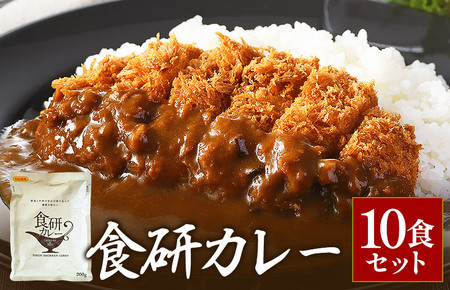 【ふるなびWEEK対象】食研カレー２００ｇ×１０袋 