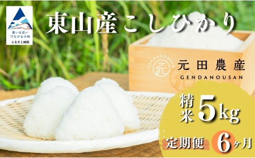 【先行予約】【定期便】令和8年産 コシヒカリ 精米5kg×6ヶ月（毎月） お米 白米 こしひかり｜石川県 小松市 【元田農産】 bc001t06