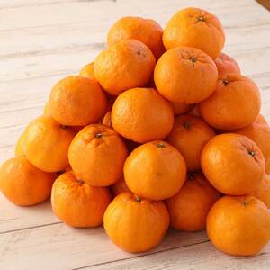 【先行予約】【訳あり】ぽんかん３kg（谷川果樹園）デコポンの親 みかん 蜜柑 ミカン 不知火 しらぬい 柑橘 かんきつ ポンカン フルーツ オレンジ 果物 くだもの 果汁 甘い【R01375】