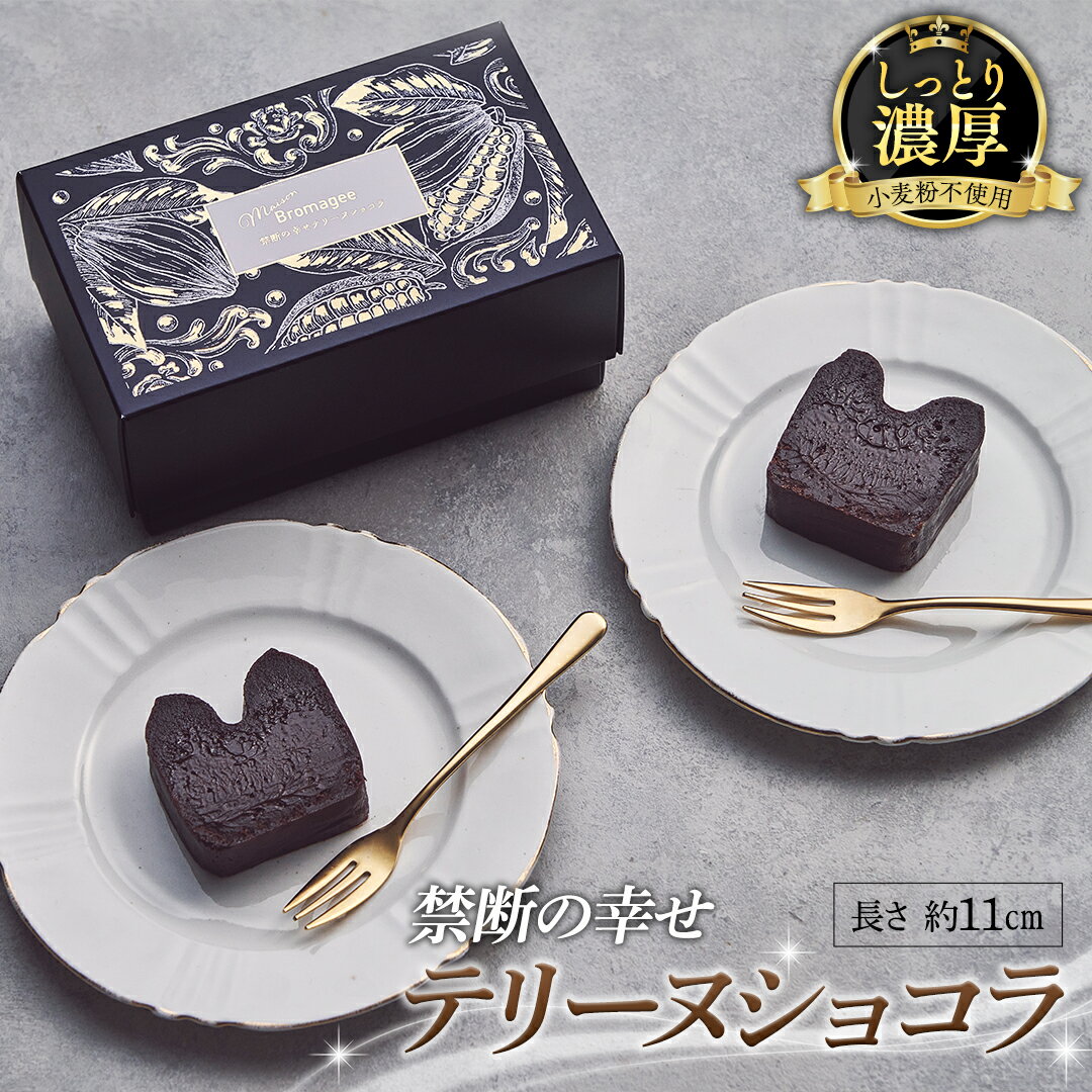 【ふるさと納税】【 禁断の幸せ 】 テリーヌショコラ チョコ チョコレート 生チョコ ショコラ ケーキ デザート スイーツ テリーヌ 贈り物 贈答 ギフト バレンタイン ホワイトデー