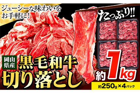 【訳あり】黒毛和牛切り落とし小分け 約1kg 約250g×4《60日以内に出荷予定(土日祝除く)》｜牛肉お肉切り落とし牛肉お肉切り落とし牛肉お肉切り落とし牛肉お肉切り落とし牛肉お肉切り落とし牛肉お肉切り落とし牛肉お肉切り落とし牛肉お肉切り落とし牛肉お肉切り落とし牛肉お肉切り落とし牛肉お肉切り落とし牛肉お肉切り落とし牛肉お肉切り落とし牛肉お肉切り落とし牛肉お肉切り落とし牛肉お肉切り落とし牛肉お肉切り落とし牛肉お肉切り落とし牛肉お肉切り落とし牛肉お肉切り落とし牛肉お肉切り落とし牛肉お肉切り落とし牛肉お肉切り落と