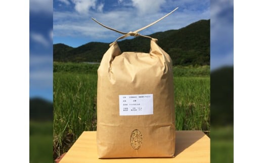 自然栽培のお米　2kg（玄米） ／ 栽培期間中農薬不使用 安心 愛知県 特産品 産地直送 田原市 渥美半島