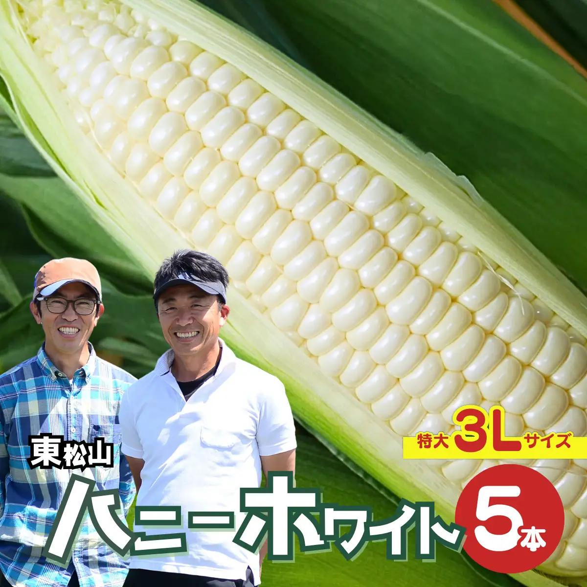 ハニーホワイト 5本 ＜先行予約＞ 特大サイズ(3L) ハニーホワイト 東松山市