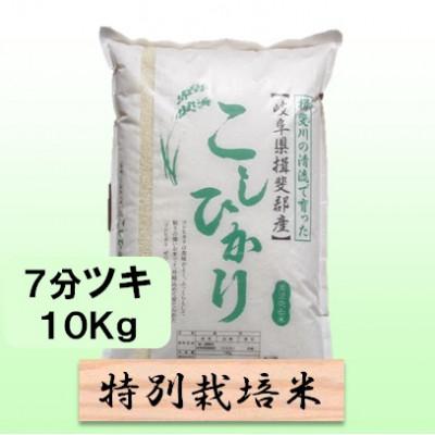 ふるさと納税 池田町 【令和7年産】特別栽培米 10kg【7分ツキ】(コシヒカリ)
