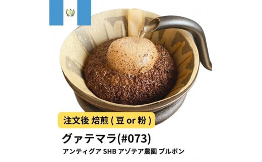 
            コーヒー #073 グアテマラ アンティグア SHB アゾテア農園 ブルボン 310g 当日焙煎 大山珈琲 （豆または中挽きから選択）
          