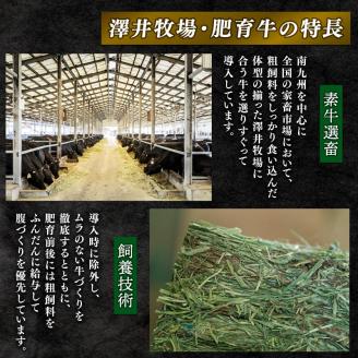 近江牛 牛肉 霜降り 焼肉用 盛り合わせ 400g 肉 国産 ブランド牛 三大和牛 和牛 黒毛和牛 贈り物 ギフト 冷凍 産地直送 滋賀県 竜王町 澤井牧場 送料無料