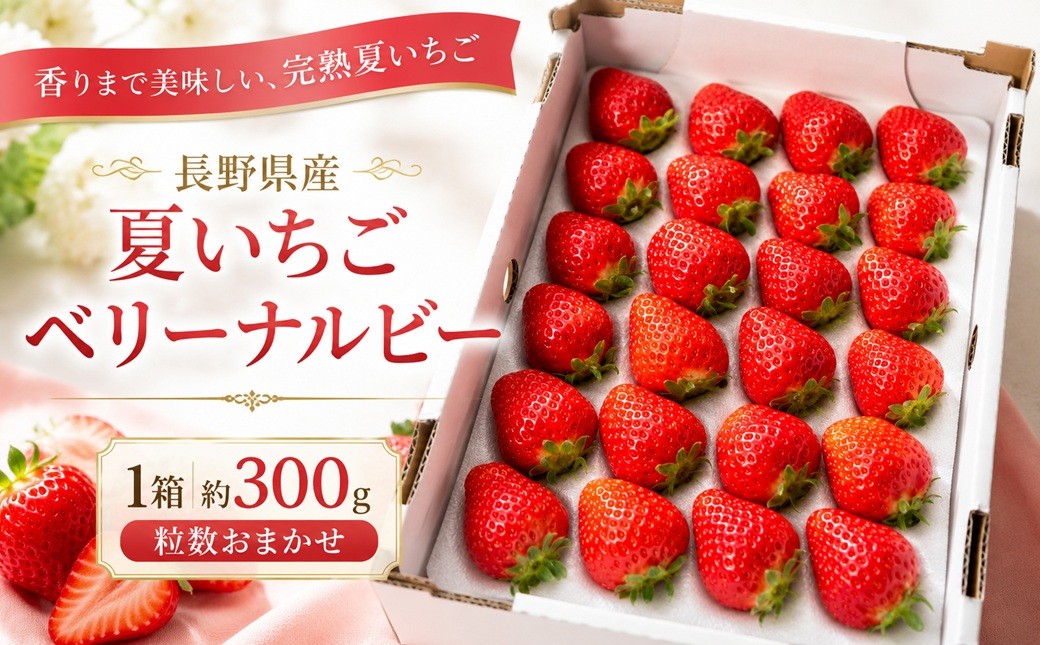 
                  いちご 夏イチゴ 長野県産 夏いちご ベリーナルビー 1箱 約300g 粒数おまかせ | フルーツ くだもの 苺 夏 いちご ベリーナ 伊那市 長野県 信州 【008-33】
                