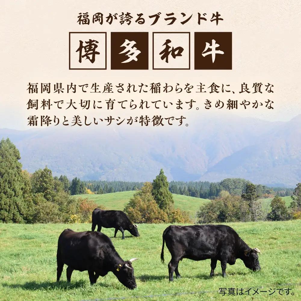 博多和牛 ヒレ ステーキ 400g   [AIA010] ヒレ肉