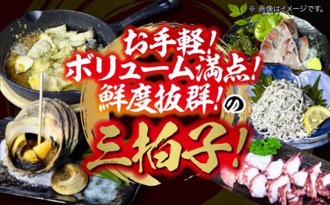 【お中元対象】新鮮なお魚盛りだくさん！海鮮詰合せ「梅」 魚介類 海産物 海鮮 刺身 広島 ＜七宝丸＞江田島市 [XBY001]