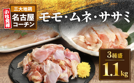 モモ ムネ ササミ 名古屋ｺｰﾁﾝ3種盛＜1.1kg＞大満足セット[001T03] 鶏肉鍋 コーチン鍋 地鶏鍋 冷凍鍋 鶏肉モモ 鶏肉ムネ 鶏肉ササミ 焼き鳥用鶏肉 親子丼用鶏肉 蒸し鶏用鶏肉 天ぷら用鶏肉 三大地鶏 名古屋コーチン