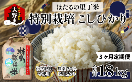 【令和5年産】【3ヶ月定期便】ベストファーマー ほたるの里 特別栽培こしひかり 6kg（2kg×3） × 3回 計18㎏ 化学肥料不使用 農薬70％以上カット [C-002002]