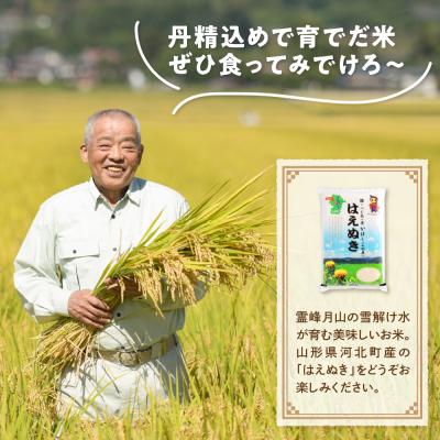 ふるさと納税 河北町 【令和7年産米】2026年5月下旬開始 はえぬき60kg(20kg×3ヶ月)定期便 山形県産 |  | 01
