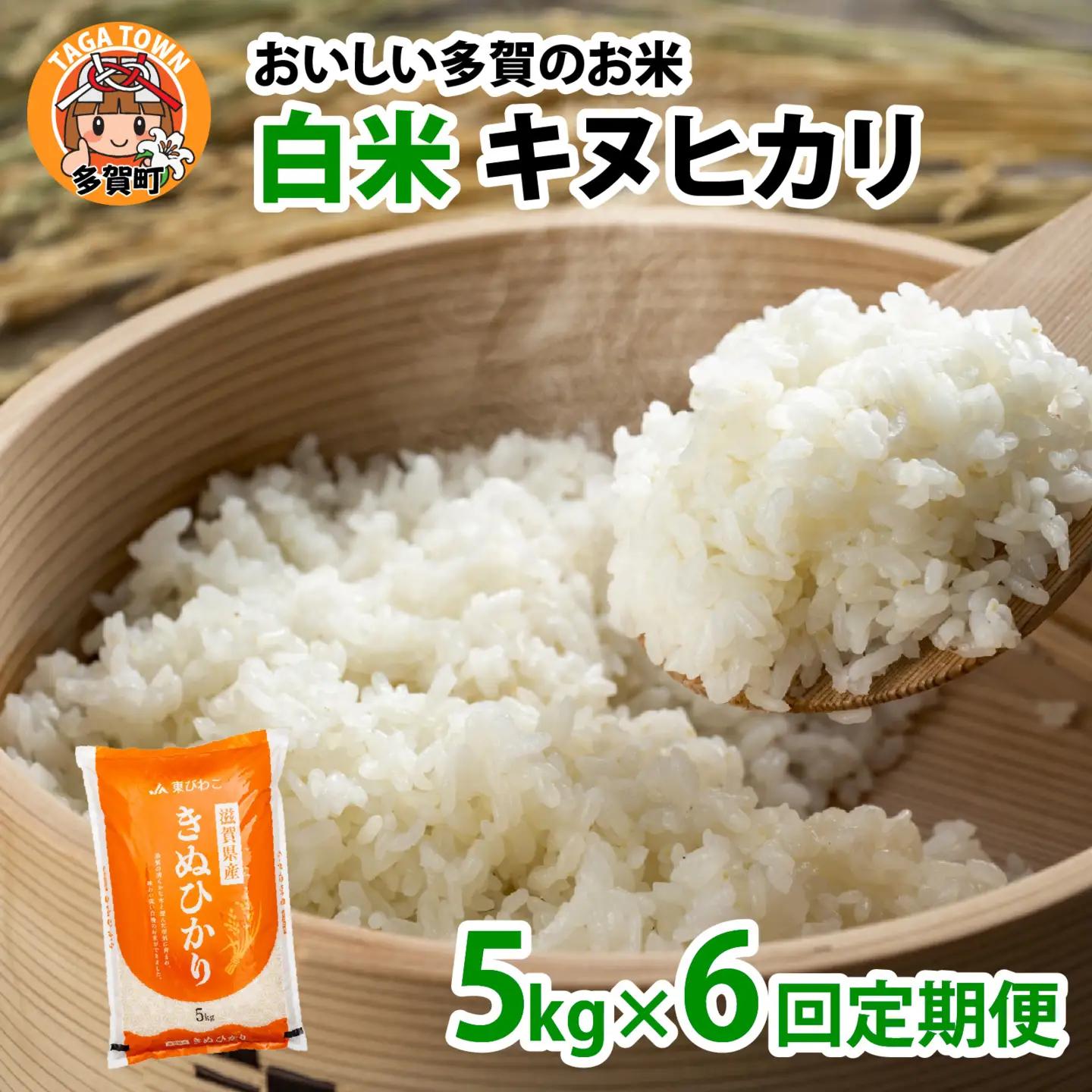 【先行予約】【令和8年産新米早期予約 毎月定期配送・計6回】 キヌヒカリ 5kg × 6回　おいしい多賀のお米 [G-00404]