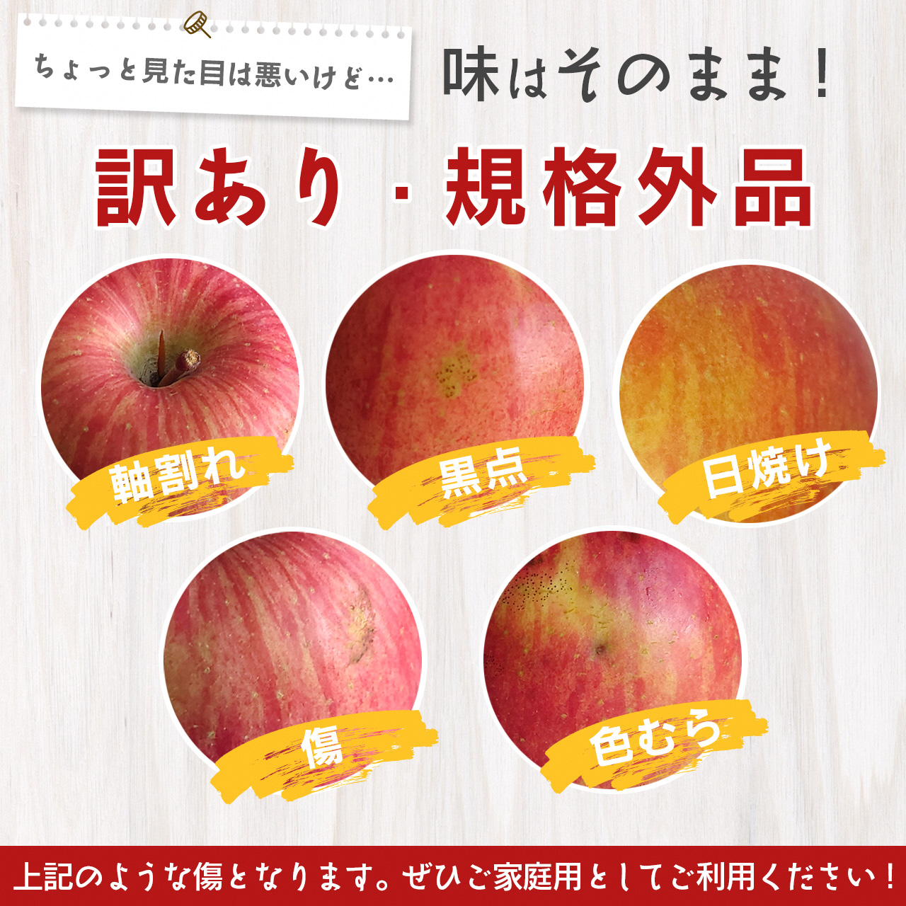 《 ご家庭用 》 サンふじ りんご 5kg 山形県産 (約10玉～20玉) 2025年産 令和7年産 【2025年11月下旬頃より順次発送予定】（フードロス対応・食品ロス・SDGs・生産者支援）　01