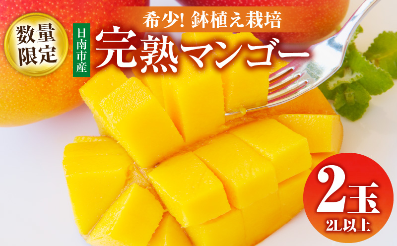 数量限定 希少 完熟マンゴー 鉢植え栽培 2L以上 × 2玉 フルーツ 果物 くだもの 期間限定 国産 食品 高糖度 濃厚 贅沢 上質 人気 おすすめ デザート おやつ ご褒美 お取り寄せ グルメ 贈り物 プレゼント ギフト お土産 お祝 宮崎県 日南市 産地直送 送料無料_CB82-23