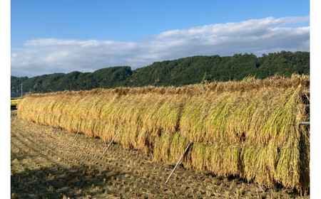 米 梨北米 農林48号 5kg [梨北農業協同組合 山梨県 韮崎市 20741961]お米 おこめ こめ コメ 精米 ご飯 ごはん 白米 国産 JA梨北