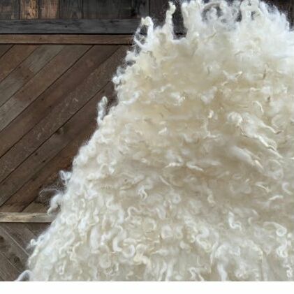 もじゃケープ【北海道美深】_イメージ5