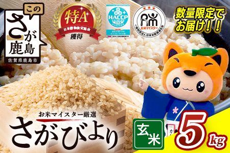 【新米】 令和7年産 佐賀県産 さがびより ５kg 玄米【16年連続 特A評価】C-175