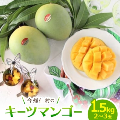 【2026年9月から順次発送・家庭用】山城フルーツ園の幻キーツマンゴー1.5kg(2～3玉)【配送不可地域：離島】