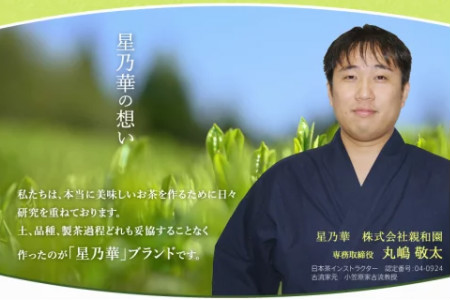 八女星野茶 星乃悠 玉露・煎茶・かぶせ茶 詰合せ【C-131】星乃華 高級 ギフトセット 高品質 お茶 茶