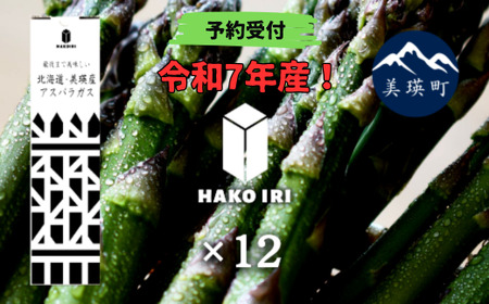 幻のアスパラ 令和7年産！  ラスノーブルＨＡＫＯＩＲＩ「畑発・冷蔵庫のドアポケット行」×12箱 墫乃字 | 4.8kg グリーン アスパラガス アスパラ あすぱら あすぱらがす 採れたて 新鮮 旬 産地直送 野菜[083-01]