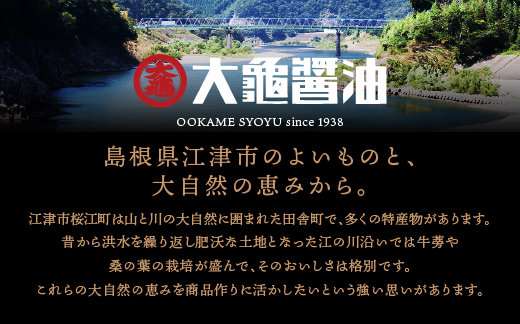 大亀醤油　濃口うす塩１L　2本セット