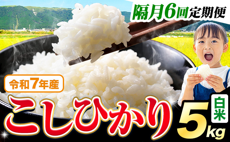 【隔月6回定期便】令和7年産 白米 こしひかり 5kg《お申込みの翌月出荷》熊本県産 ふるさと納税 白米 精米 ひの 米 こめ ふるさとのうぜい コシヒカリ コメ お米 おこめ---reihoku_l