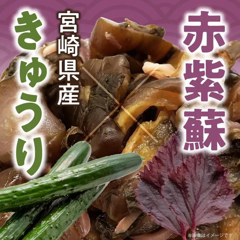 ＼ポスト投函／しば漬け 計1袋 (150g) 漬物 おかず 野菜 加工品 国産_T025-0215