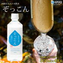 【ふるさと納税】＜四国カルスト天然水ぞっこん 500ml(24本入り)×2ケース 計48本＞ 飲料水 みず 中硬水 弱アルカリイオン水 ペットボトル ウォーター バナジウム 備蓄 防災 キャンプ アウトドア 国産 特産品 ぞっこん四国 愛媛県 西予市【常温】『1か月以内に順次出荷予定』