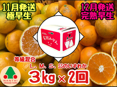 定期便 11・12月発送 有田みかん 2種 食べくらべ 極早生 ＆ 完熟早生 3kg 和歌山 みかん 南泰園 全2回