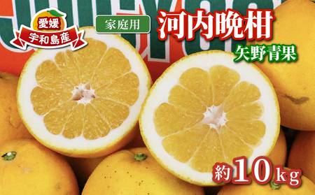 河内晩柑 みかん 10kg 矢野青果 先行予約 家庭用 和製 グレープフルーツ 晩柑 かわちばんかん 果物 くだもの フルーツ 濃厚 甘い 甘味 さっぱり 酸味 蜜柑 産地直送 農家直送 数量限定 国産 愛媛 宇和島 B012-171013
