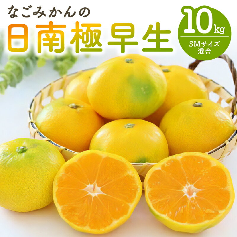 【ふるさと納税】【9月中旬より順次発送】なごみかん 日南 極早生みかん 10kg【さわやかな香りと味わい】