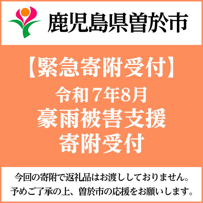【ふるさと納税】【令和7年8月豪雨被害支援寄附受付】鹿児島県曽於市災害応援寄附金（返礼品はありません）