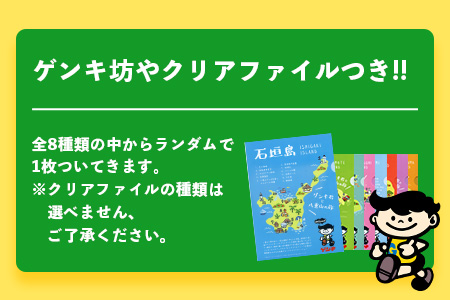 【島外不出のゲンキくんグッズが返礼品に!!】八重山ご当地キャラクターゲンキくん クールサイダー 24本 200ml×24本 八重山ゲンキ乳業 お土産 観光 ゲンキくん ゲンキクールOP-4