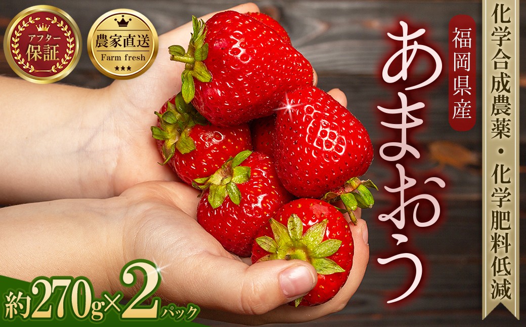 
            農家直送！特別栽培 あまおう 約270g × 2パック ふるさと納税 いちご イチゴ 苺 東峰村 果物 くだもの フルーツ ジャム にも ケーキ にも 先行予約 数量限定 ふるさと ランキング 人気 おすすめ 福岡 3S14-S
          