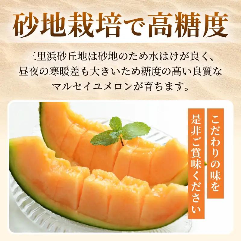 マルセイユメロン 2玉 (1玉 約1.2kg前後) 2027年6月中旬以降順次発送 めろん フルーツ [A-19008]