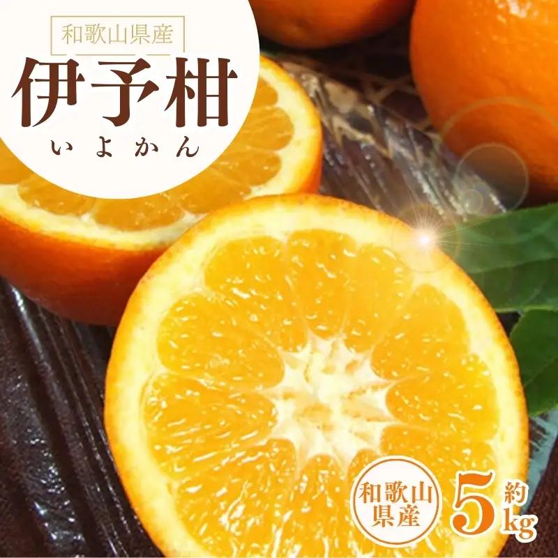 伊予柑(いよかん) 約5kg/サイズおまかせ　※2027年1月中旬～2月中旬頃に順次発送予定(お届け日指定不可)　紀伊国屋文左衛門本舗　【sutb441B】