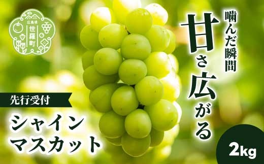 
                  シャインマスカット2kg (4～5房) 【2026年10月上旬以降順次発送】安井農園 ぶどう ブドウ 葡萄 ピオーネ フルーツ 果物 くだもの 産地直送 世羅 A009-05
                