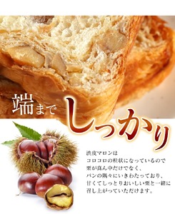 デニッシュ食パン 2本(各1斤) (やわた三色 / 栗）京都 デニッシュ