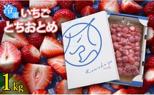 
            冷凍いちご とちおとめ 選べる 1kg 国産 完熟 おやつ ジャム スムージー ヨーグルト シェイク
          