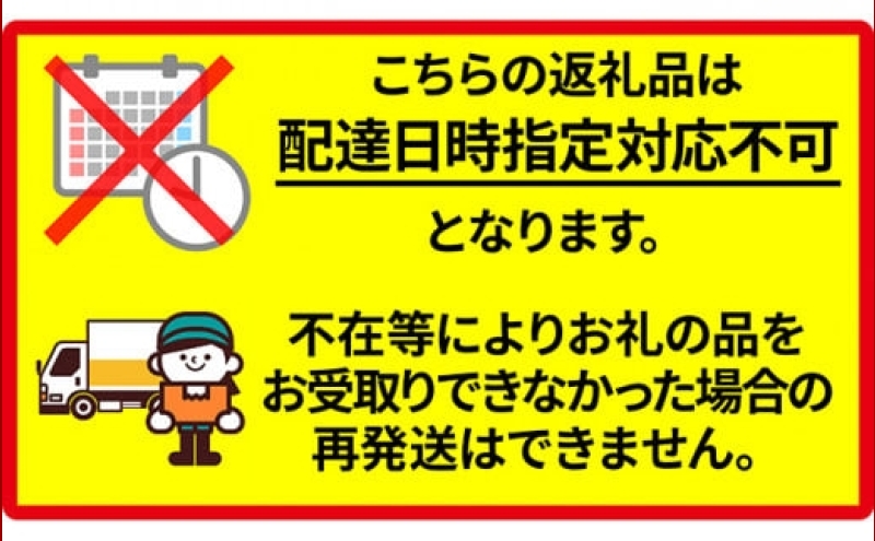 北海道 新しのつ産 赤肉メロン 2玉 約4kg メロン 果物 フルー