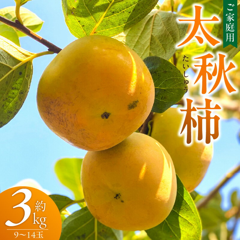 【ふるさと納税】【10月発送】訳あり品 太秋柿 9～14玉 約3kg ご家庭用 柿 甘柿 フルーツ 果物 スイーツ 甘い 条紋 10月最盛期 完全甘柿 早生品種 大玉 甘みが強い シャキシャキ 種が少ない 子供でも 食べやすい 福岡県 久留米市 送料無料