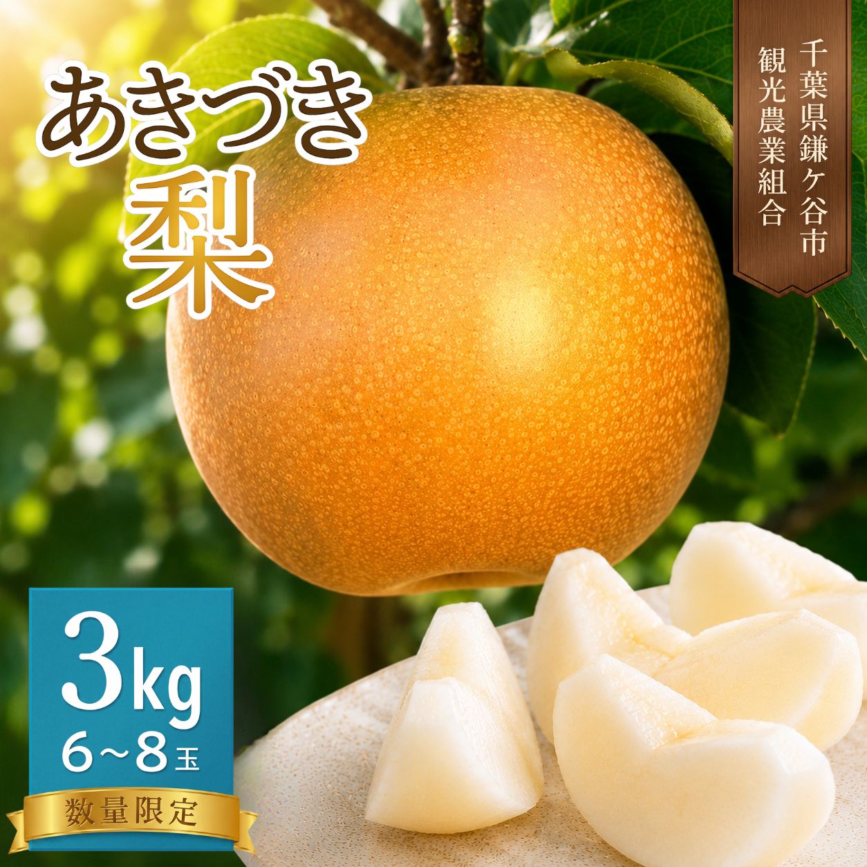 【ふるさと納税】梨 あきづき 3kg 6～8玉 先行予約 千葉県 鎌ケ谷市 完熟 甘い 梨業組合 果物 フルーツ 和梨 贈答用 ギフト 2026年9月～順次発送 組合の梨