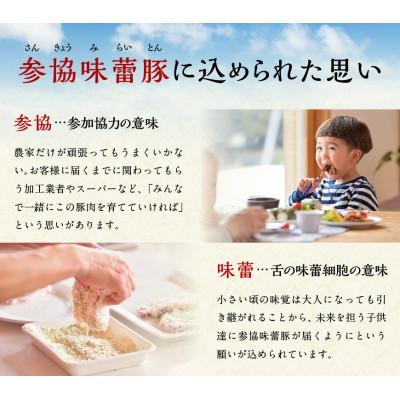 ふるさと納税 川南町 さんきょうみらい豚 『満喫セット(ハンバーグ付き)』 |  | 01