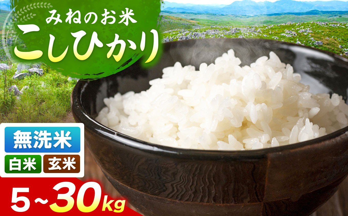 
            令和7年度産 こしひかり 無洗米 (5kg~30kg ) ｜無洗米  米 雑穀 お米 コメ 単一米 こしひかり コシヒカリ   山口 美祢 秋吉台
          