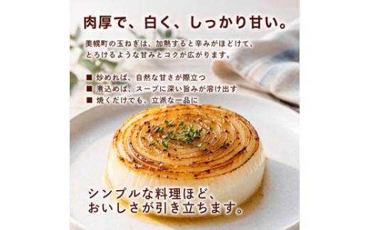 【2026年10月上旬以降発送】 玉ねぎ 2L サイズ 2kg ( 令和8年度産 タマネギ 玉ねぎ 玉ネギ 玉葱 オニオン スライス サラダ 野菜 スープ 肉じゃが 煮物 ハンバーグ すりおろし 甘い